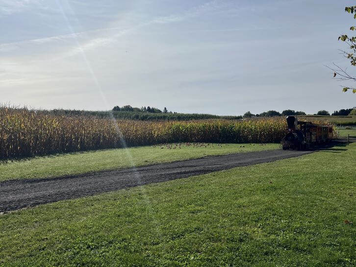train at wickham farms