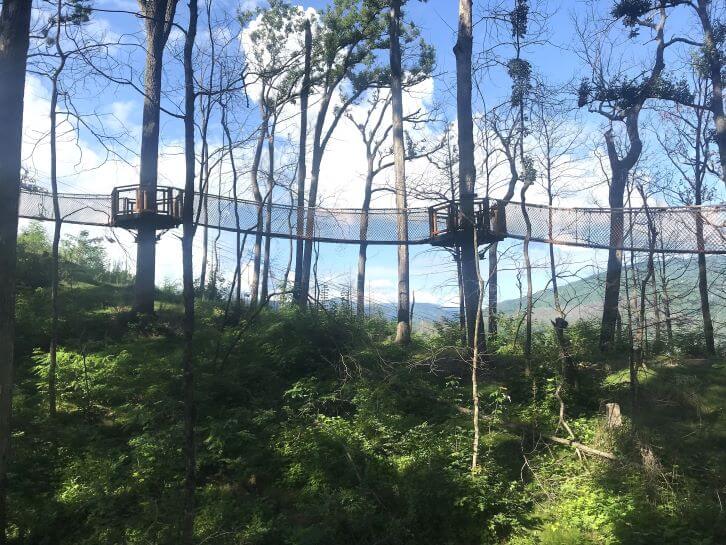 walkways at anakeesta