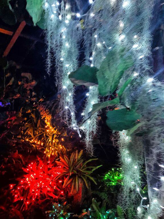 lamberton conservatory lights rochester ny