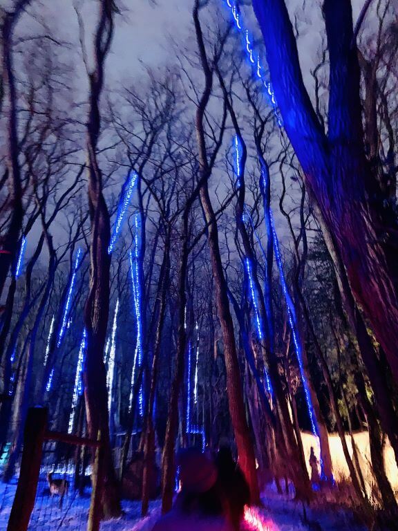 powers farm wooded trail