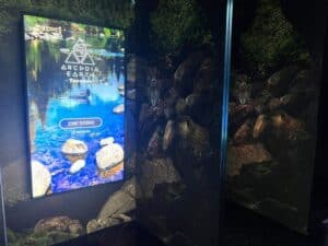 arcadia earth toronto tutorial