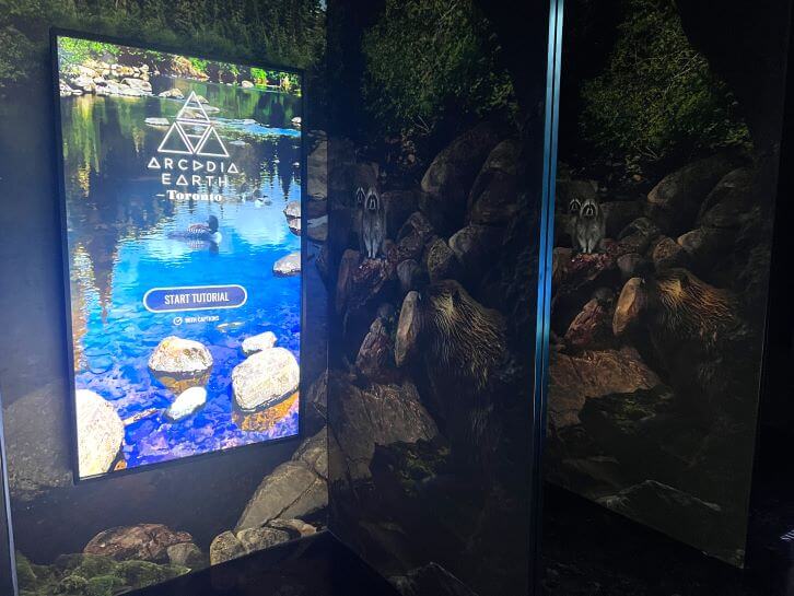 arcadia earth toronto tutorial