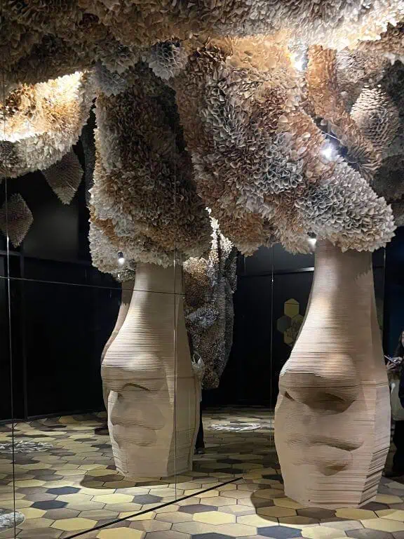 bee room at arcadia earth