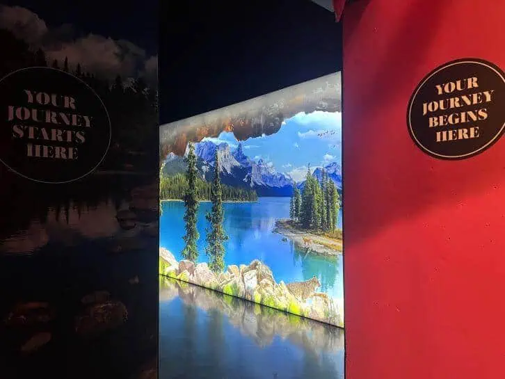 entrance to arcadia earth toronto