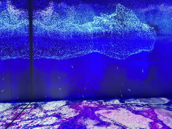 sea ice room at arcadia earth