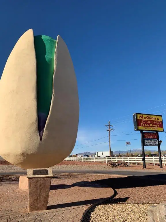 largest pistachio in new mexico