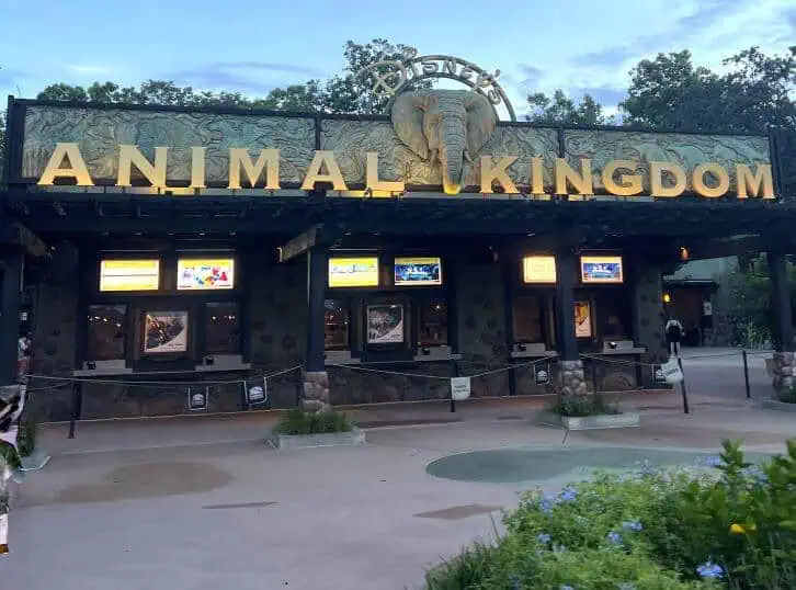 entrance to animal kingdom