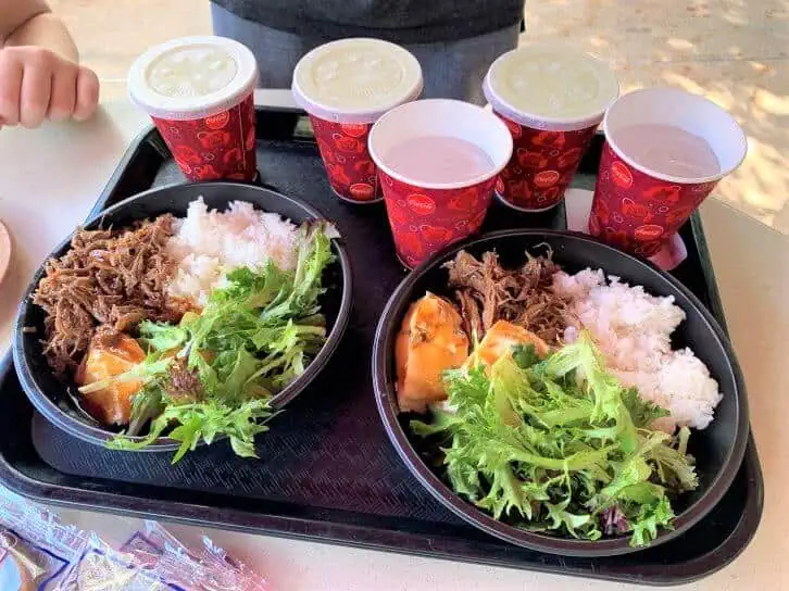 lunch at epcot