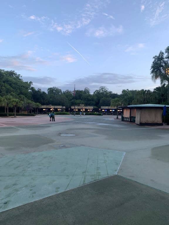 animal kingdom gates at rope drop disney world 7am