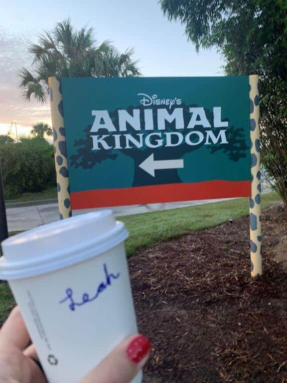 coffee and rope drop animal kingdom at walt disney world