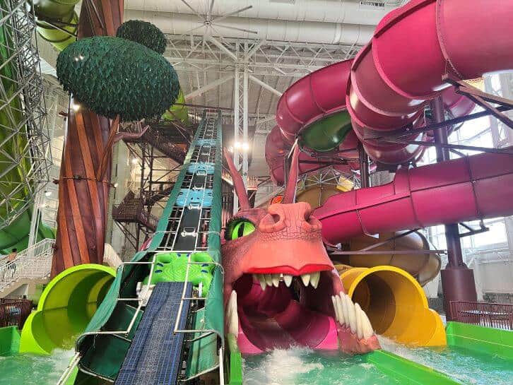 dreamworks water park at american dream shrek water slide