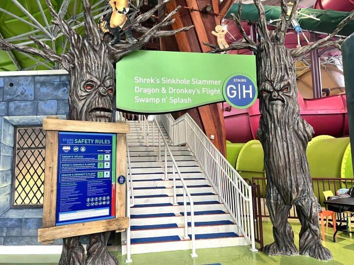 shrek water slides at dreamworks water park at american dream mall