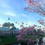 Disney’s Caribbean Beach Resort Review: Our Stay as a Family of 5