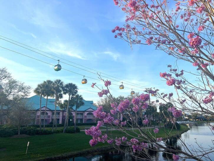 Disneys caribbean beach resort view of skyliner and exterior of buildings