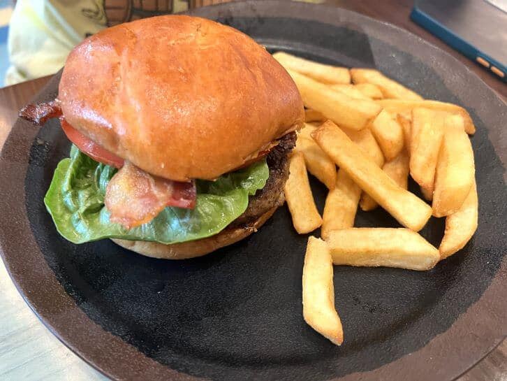 burger at meteor astropub
